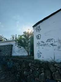 固原梯田｜觸摸大地指紋，邂逅最美梯田。