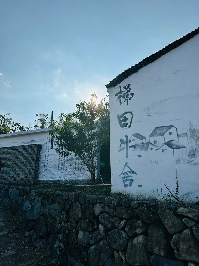 固原梯田｜觸摸大地指紋，邂逅最美梯田。