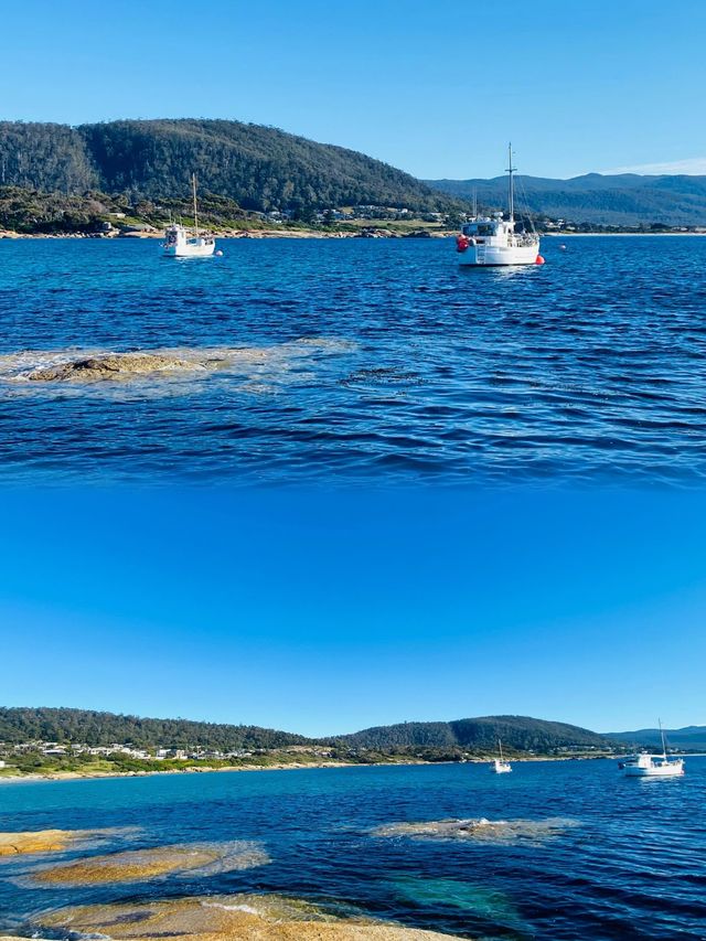 探索比舍諾：阿根廷海岸的陽光之旅 。