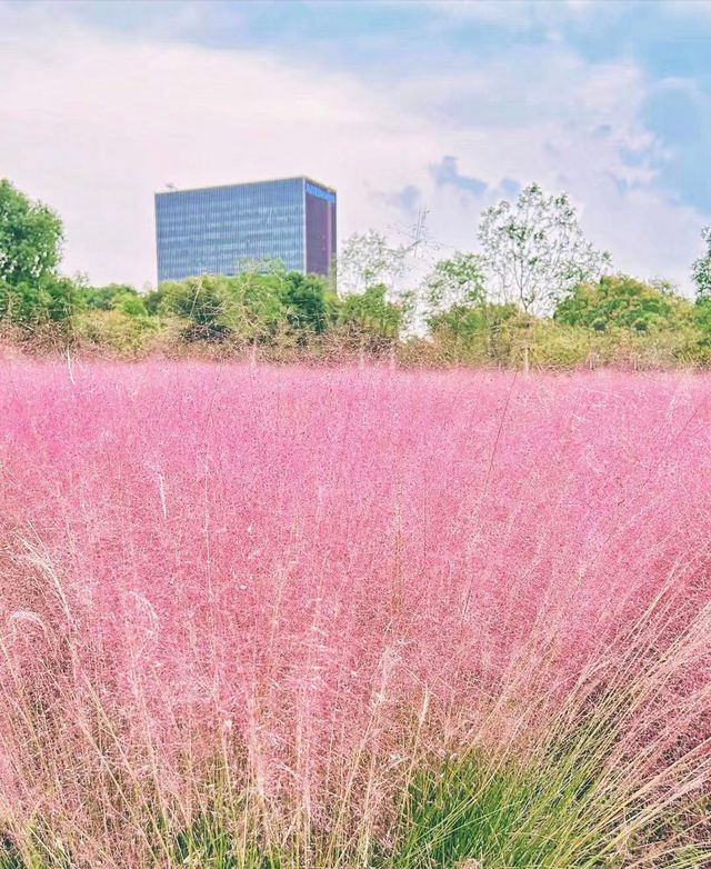 河灣公園。