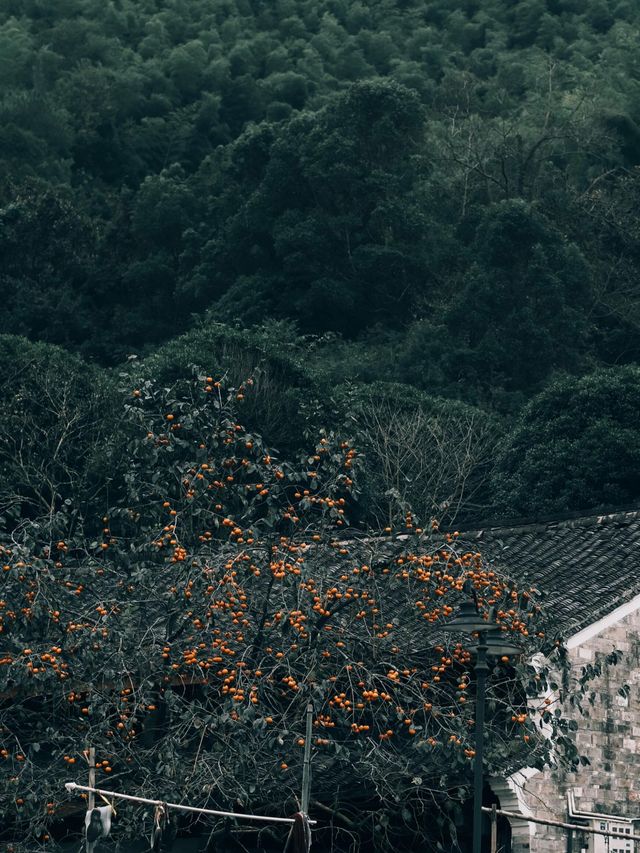 一個冷門的村落，棲霞坑。。