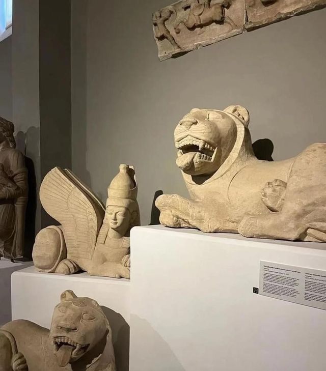 一天漫步塞浦路斯尼科西亞。