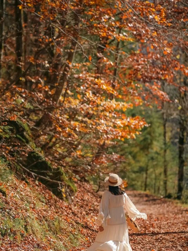 A Lovely Experience in Austria 🥰❤️ Must Visit💥