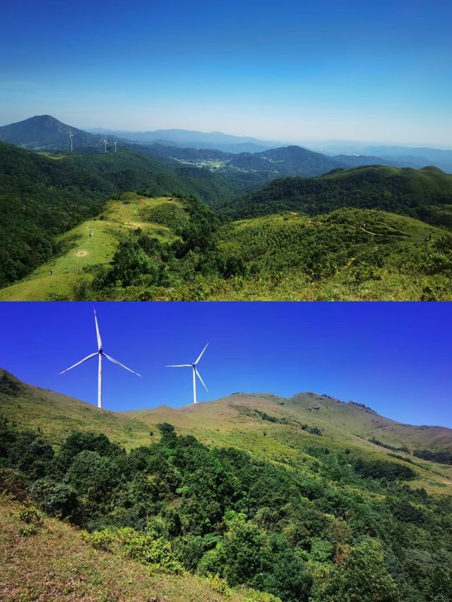 探秘廣東茂名信宜天馬山的自然奇觀。