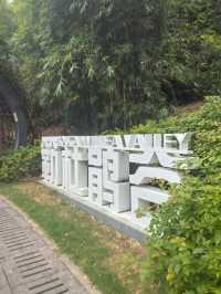 深圳探園|寶安簕杜鹃谷公園花海等你來。