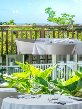 Sunshine Hotel | A Warm and Radiant Encounter