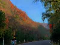西安周邊遊｜銅川照金大香山。