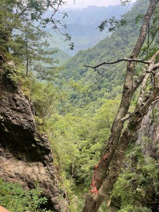 Shangluo Tayun Mountain | Different scenery in each season.