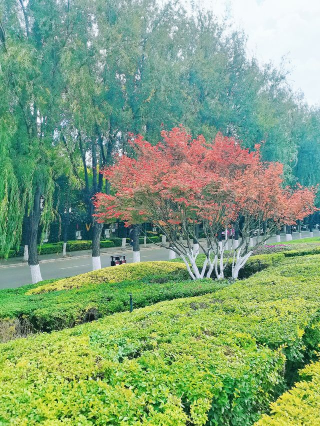 在昆明 | 這是一個很棒的景點，性價比很高。