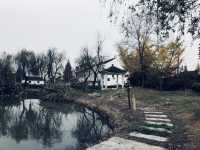 賞滿地紅楓，看農民畫，這裡是季節限定的紅色。