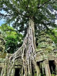 Angkor Wat Attractions Overview (Part 1)