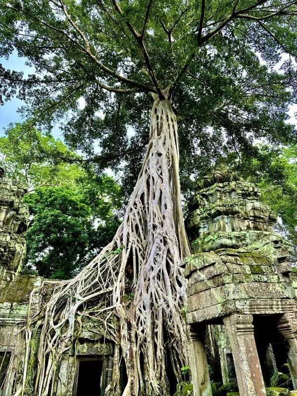 Angkor Wat Attractions Overview (Part 1)