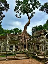 Angkor Wat Attractions Overview (Part 1)