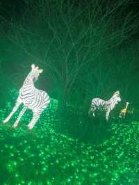 Visited the Sagamiko Light Show!!