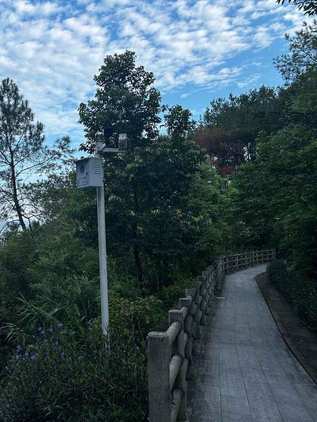探索天然氧吧，週末好去處！