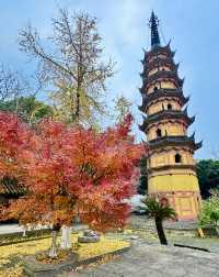 吳中第一雙塔——蘇州雙塔寺
