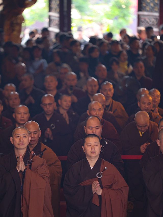 舟山普陀島必打卡 2 天 1 夜能量暴漲攻略