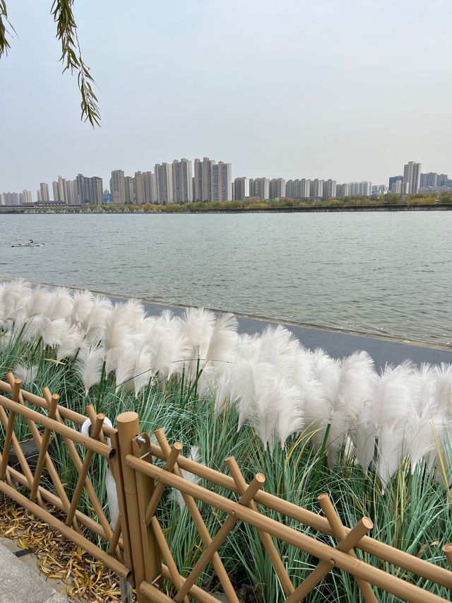 西安隔壁的「小海濱」，冬韻咸陽湖等你來撩！