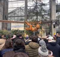 南特機械島：機械與藝術的夢幻之旅