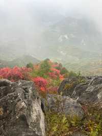 遼寧阜新|海棠山•浪漫與大自然撞了個滿懷