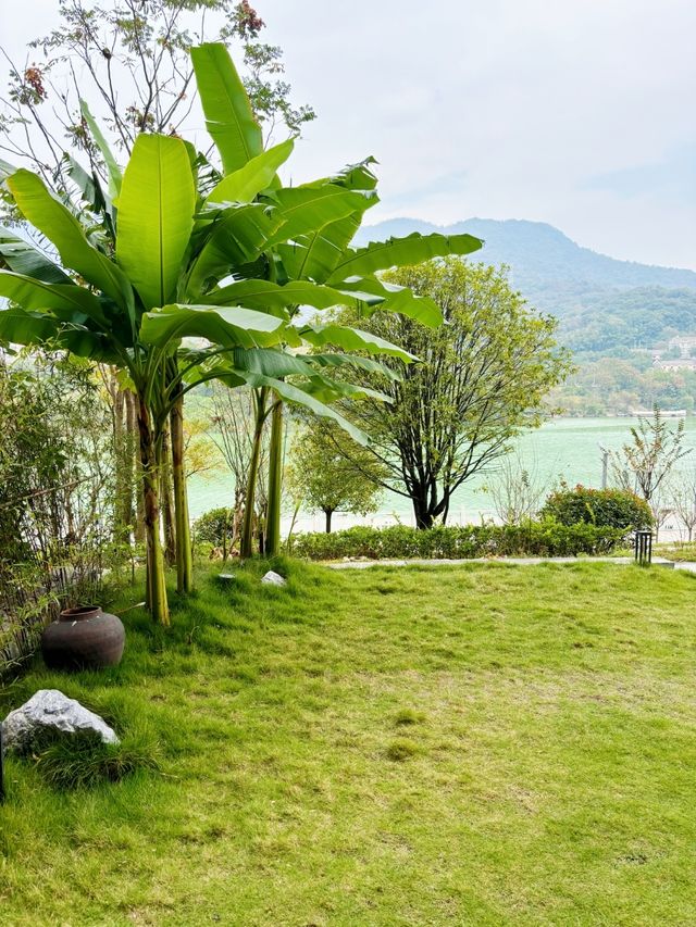 郴州之旅，讓我遇見不一樣的冬天