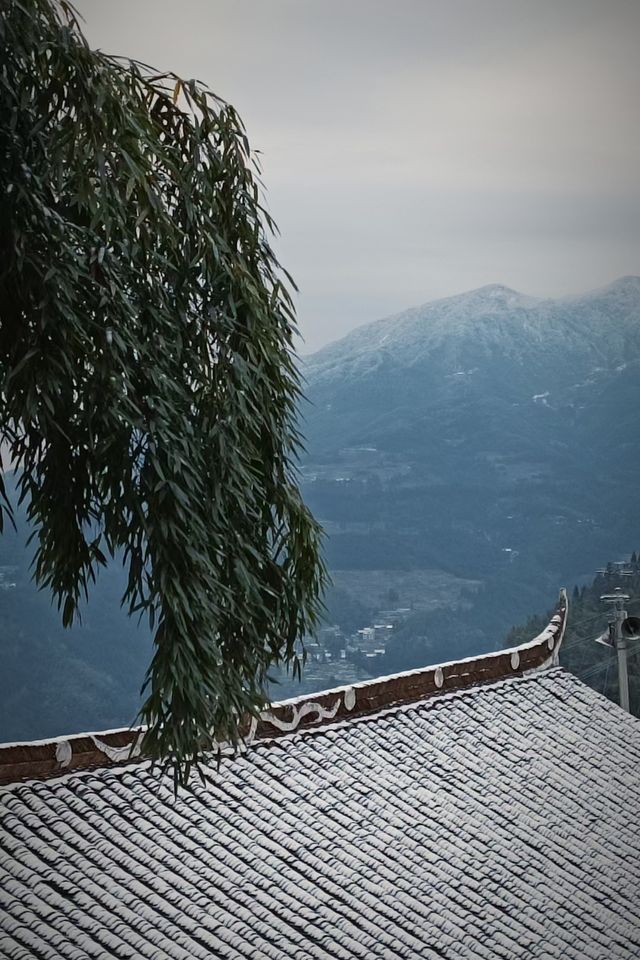紫鹊界的青煙色