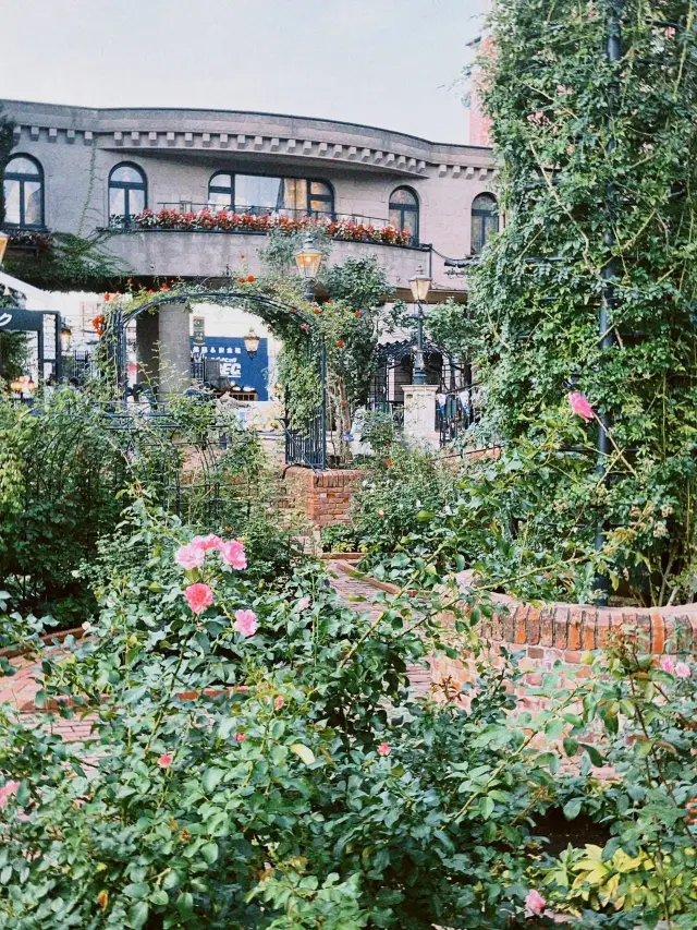 일본 6일 여행 온천 여행을 놓치지 마세요