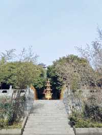 徐州小確幸——漢文化景區探尋