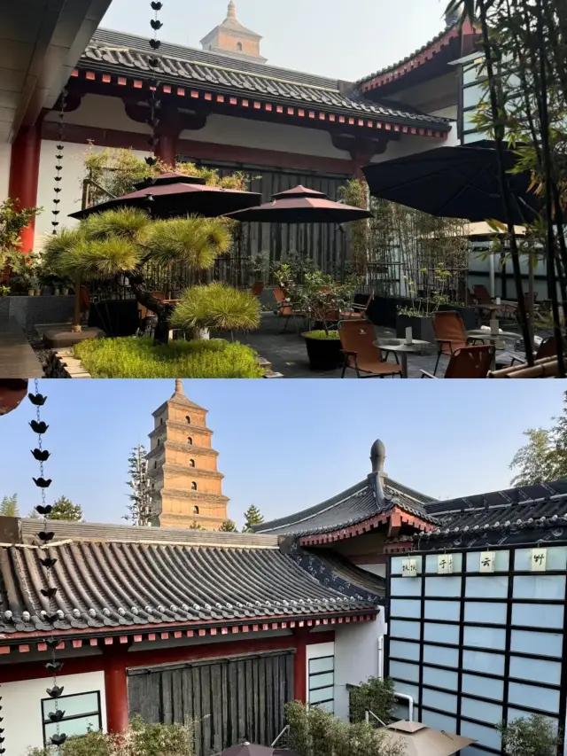 시안! 대안탑 옆 전망 좋은 정원 호텔!