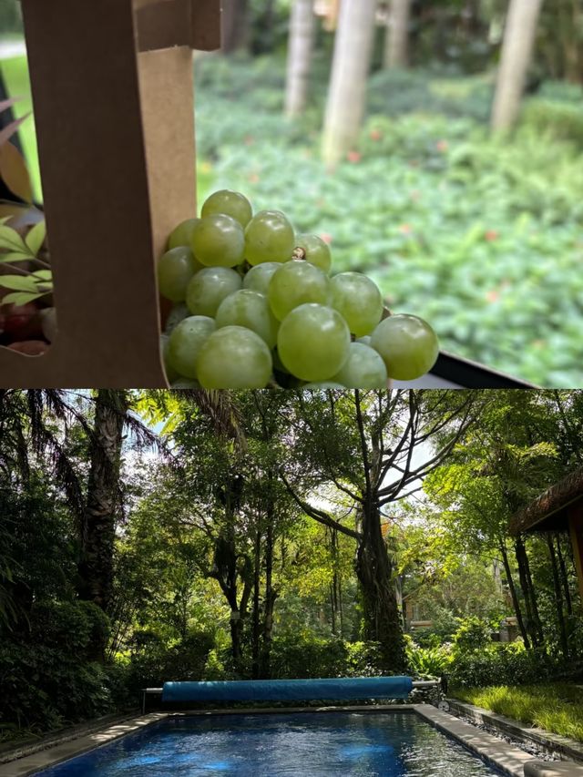 彌勒療癒之旅
