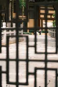 深圳-般若禪寺 | 鬧市中的寧靜禪意