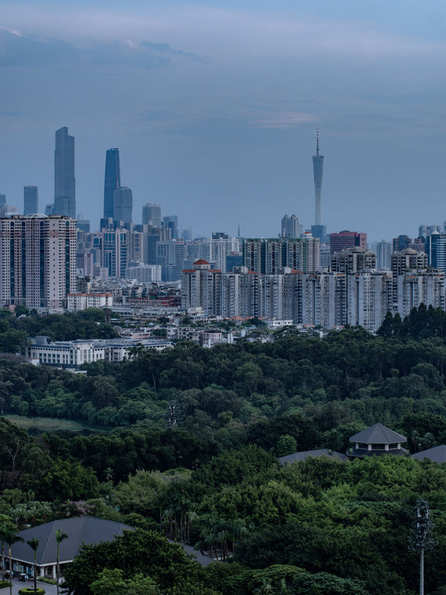 在廣州被騙來爬山，登頂後不想離開～