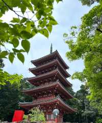 日本高知竹林寺｜禪意寶藏之旅