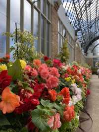 Discover Auckland's Domain Wintergardens: A Free Floral Escape