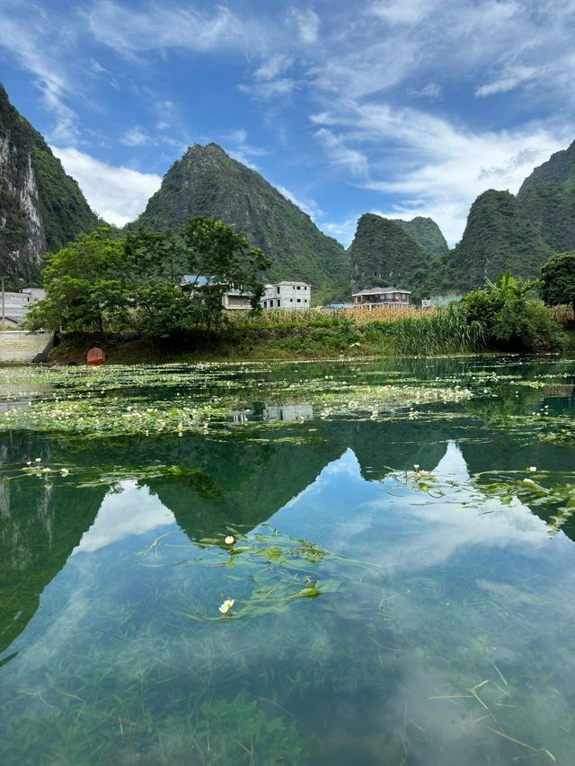 廣西百色隴卡賴｜當新疆草原遇上桂林山水