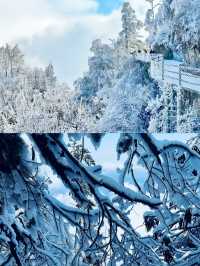 郴州莽山賞雪超全攻略