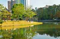 公園20分鐘效應