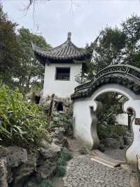 秋霞圃｜上海著名古典園林，一步一景，秀色迷人