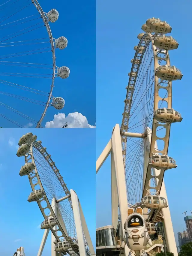 Shenzhen 1-Day Tour | Happy Harbor Guide