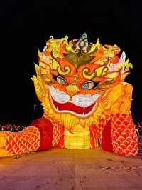 南湖燈會，燈火輝煌夜未央！