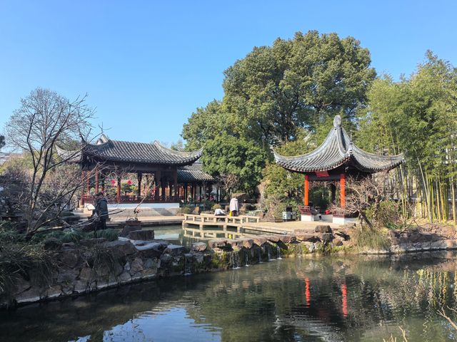 蛇年初七，邂逅古猗園的歲朝雅韻
