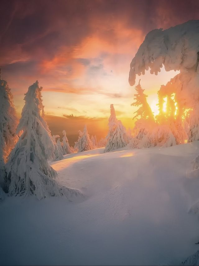 羅馬尼亞行山