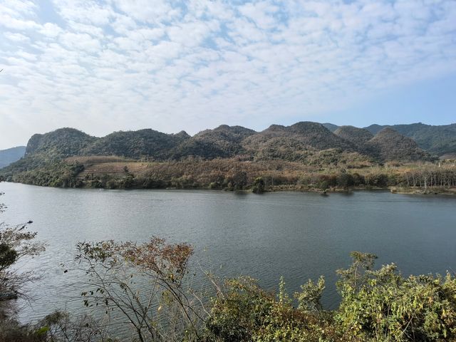 昌化江畔木棉賞花碼頭一一木棉紅景區