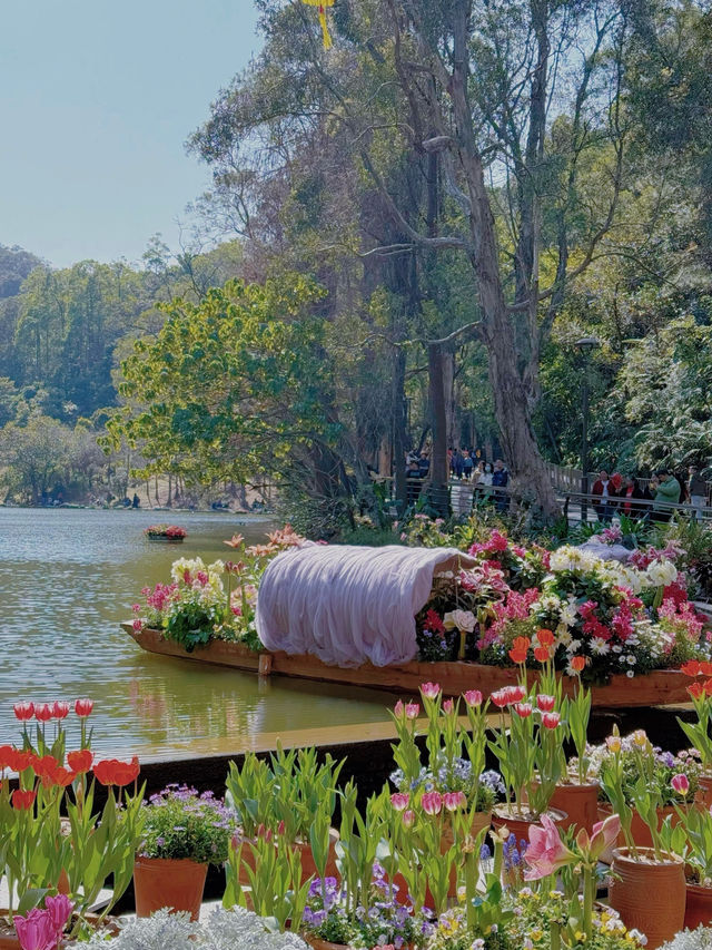 《深圳市仙湖植物園的花語世界》