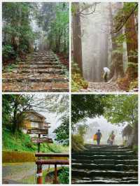 日本之旅·熊野古道｜純玩一日遊攻略 徒步穿越深山峻嶺