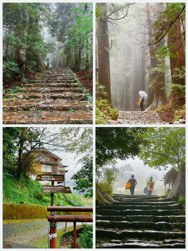 日本之旅·熊野古道｜純玩一日遊攻略 徒步穿越深山峻嶺
