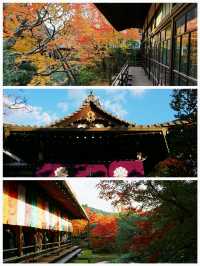 日本之旅·京都｜純玩一日遊攻略這些歷史文化遺產不要錯過
