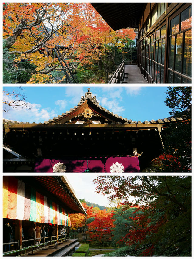 日本之旅·京都｜純玩一日遊攻略這些歷史文化遺產不要錯過