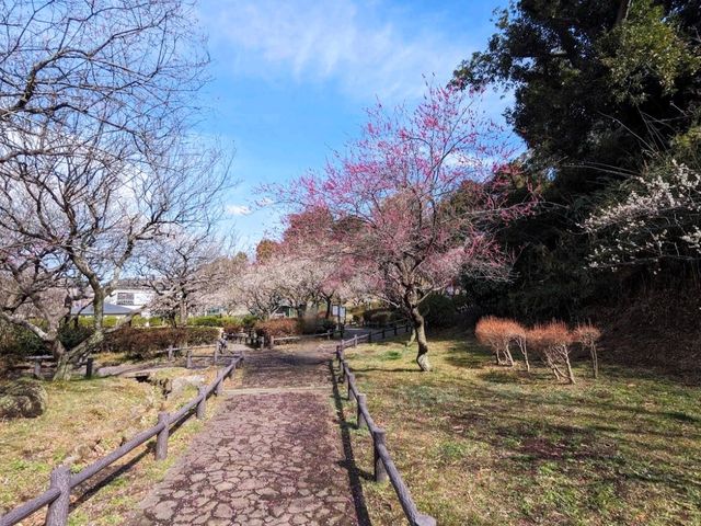 岡村公園