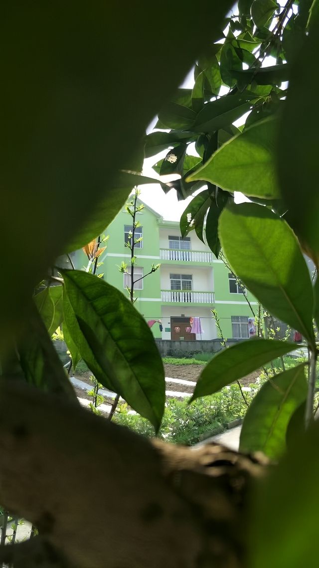 湖北宜昌 長陽 巴人寨